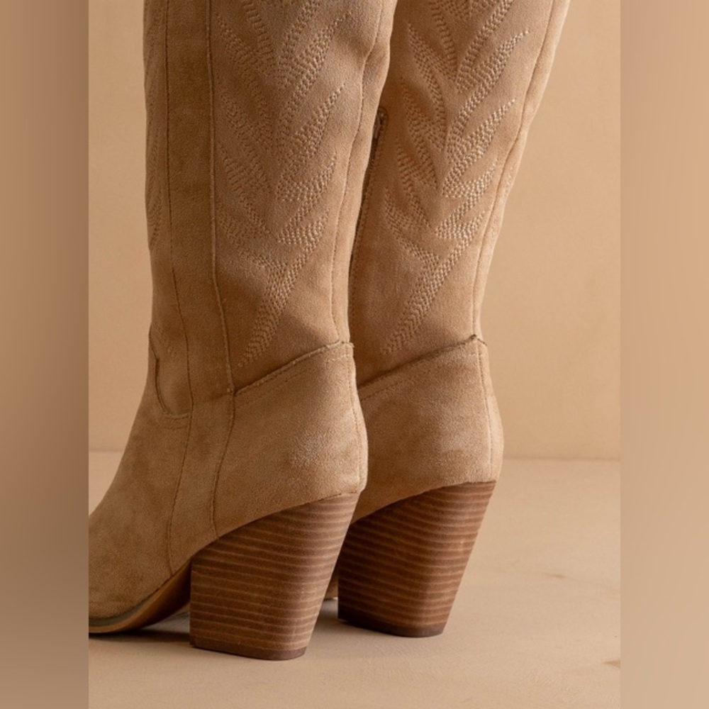 Tall Knee High Western Embroidered Pointed Toe Boots - Oasis Society - Picture 4 of 5